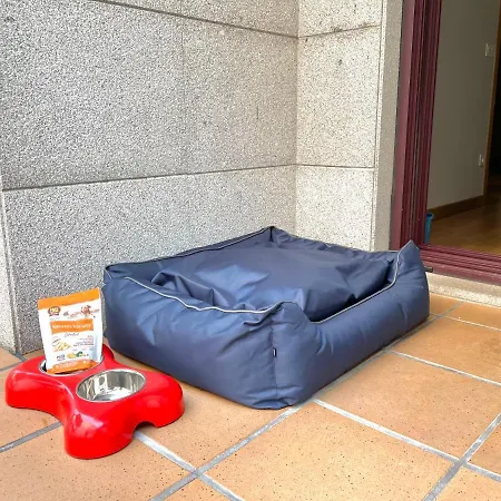 Estudio Céntrico Con Terraza Y Parking Privado * Ourense