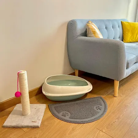 Estudio Céntrico Con Terraza Y Parking Privado Appartement